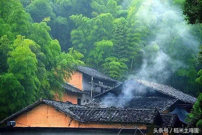 香甜可口的瓜子,年味不一样的滋味