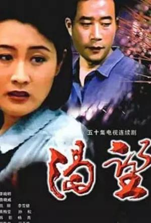 80年代我们一起追过的电视剧,那些年追过经典电视剧