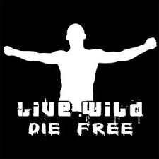 足球流氓最多的国家,足球流氓德国