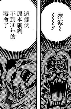 樱木花道漫画分析,鹰目话道官网