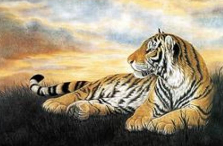 几日出生的人一生大财不断,迟早发财的人是什么命