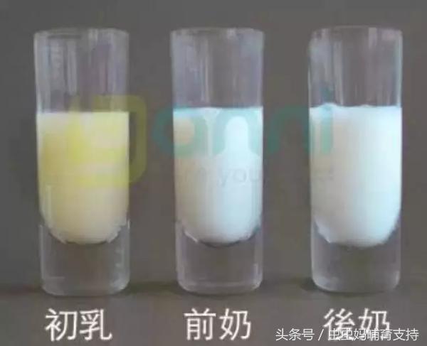 Word天呀,乳汁里有血,怎么办?