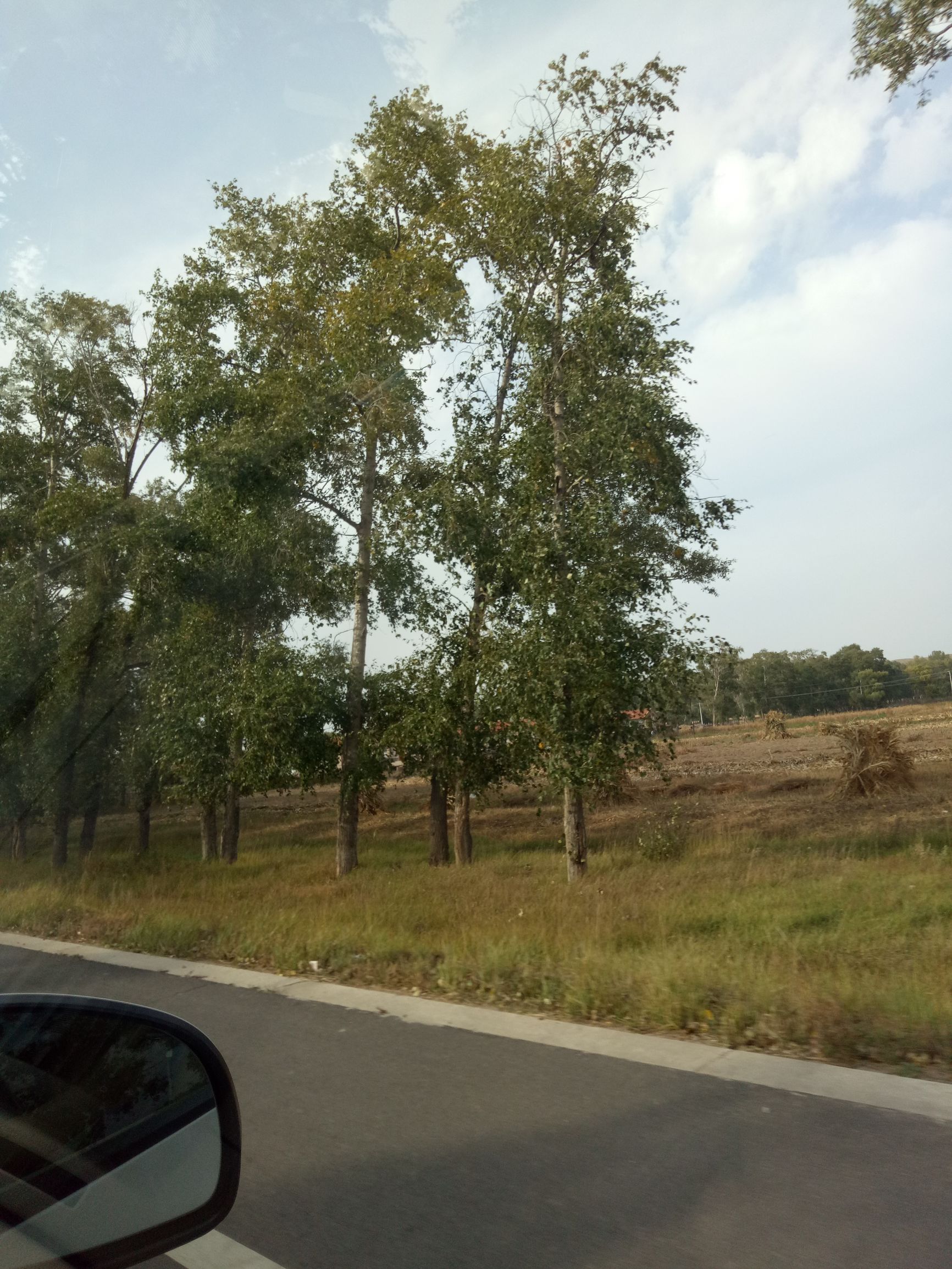 张北天路行,深度还原张北天路