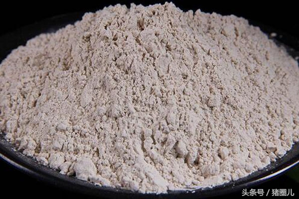 养好母猪,养好母猪与仔猪