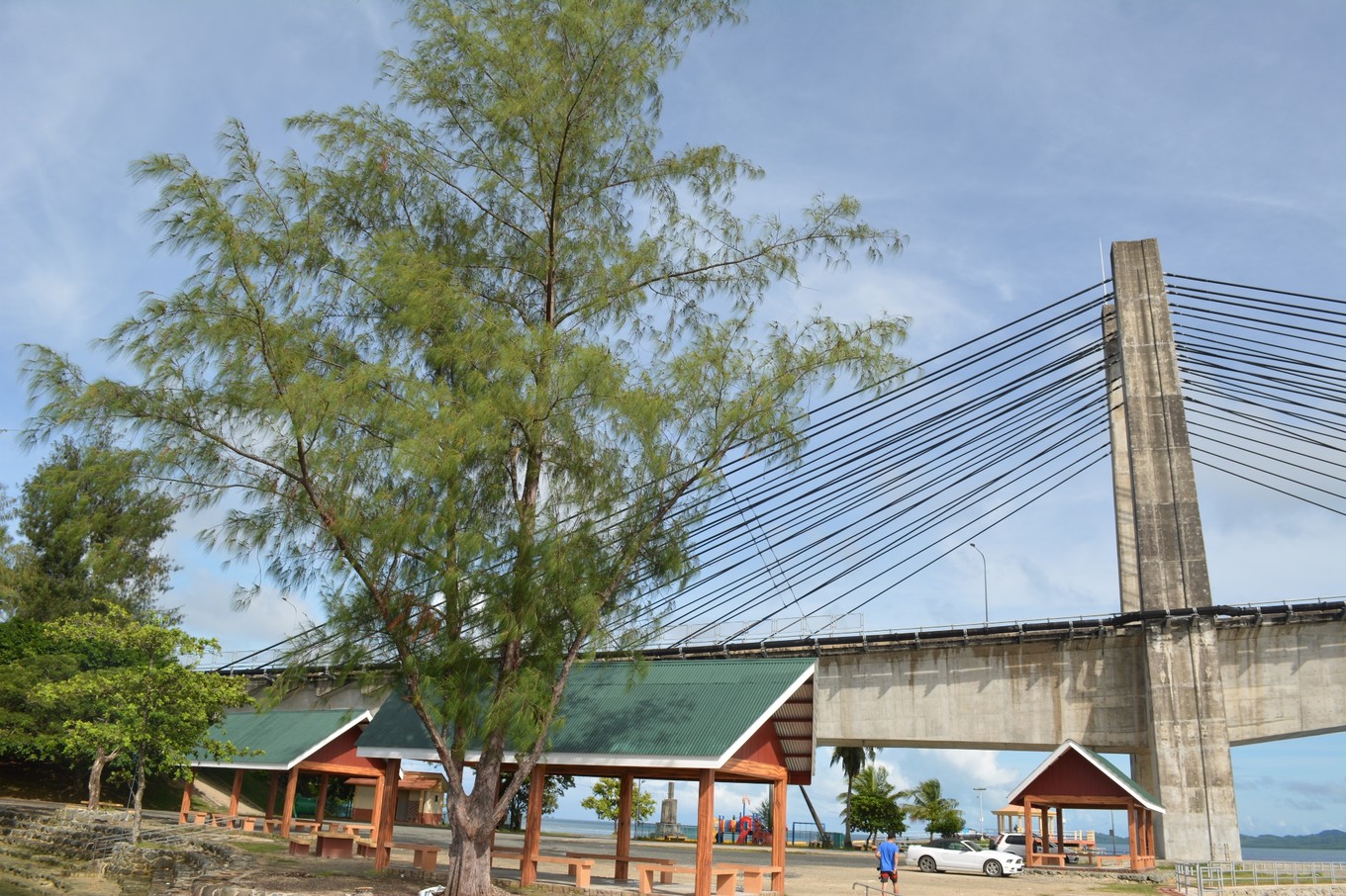 帕劳旅行攻略大全图文,帕劳旅行攻略图文大全