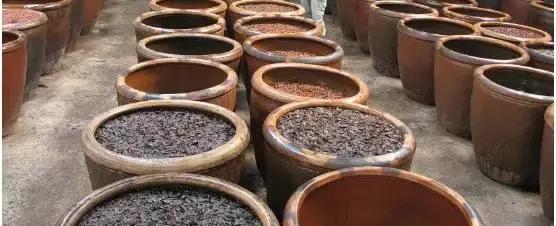 山东济南什么菜最出名,山东济南农村特色菜