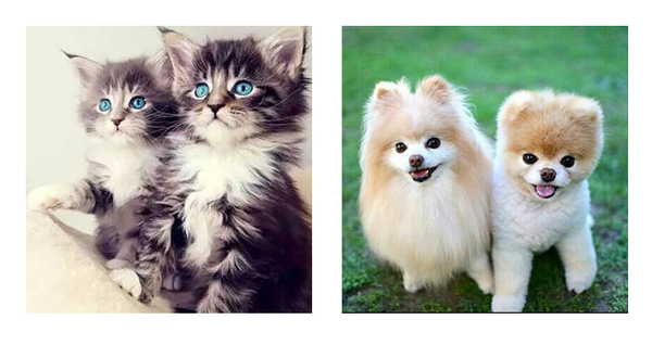 选择微信头像怎么选,你用的什么微信头像