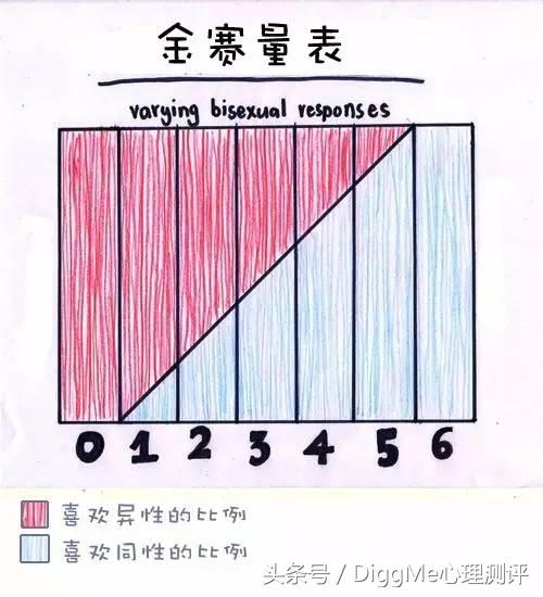 你的性别取向是什么,你的性别是什么选择题