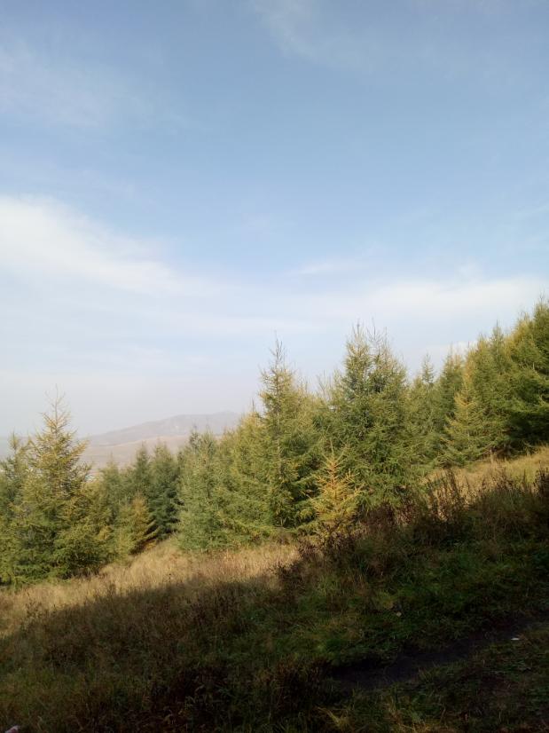 张北天路行,深度还原张北天路