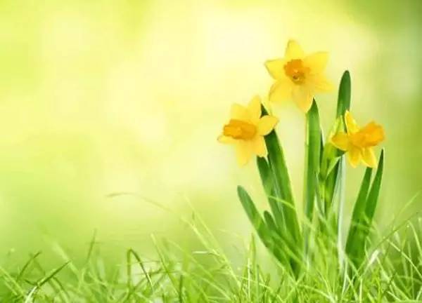 早安语录正能量微商界短句,微商朋友圈早安心语正能量图片