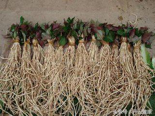 消“痔疮”，武医刘合斌教你“三招”！