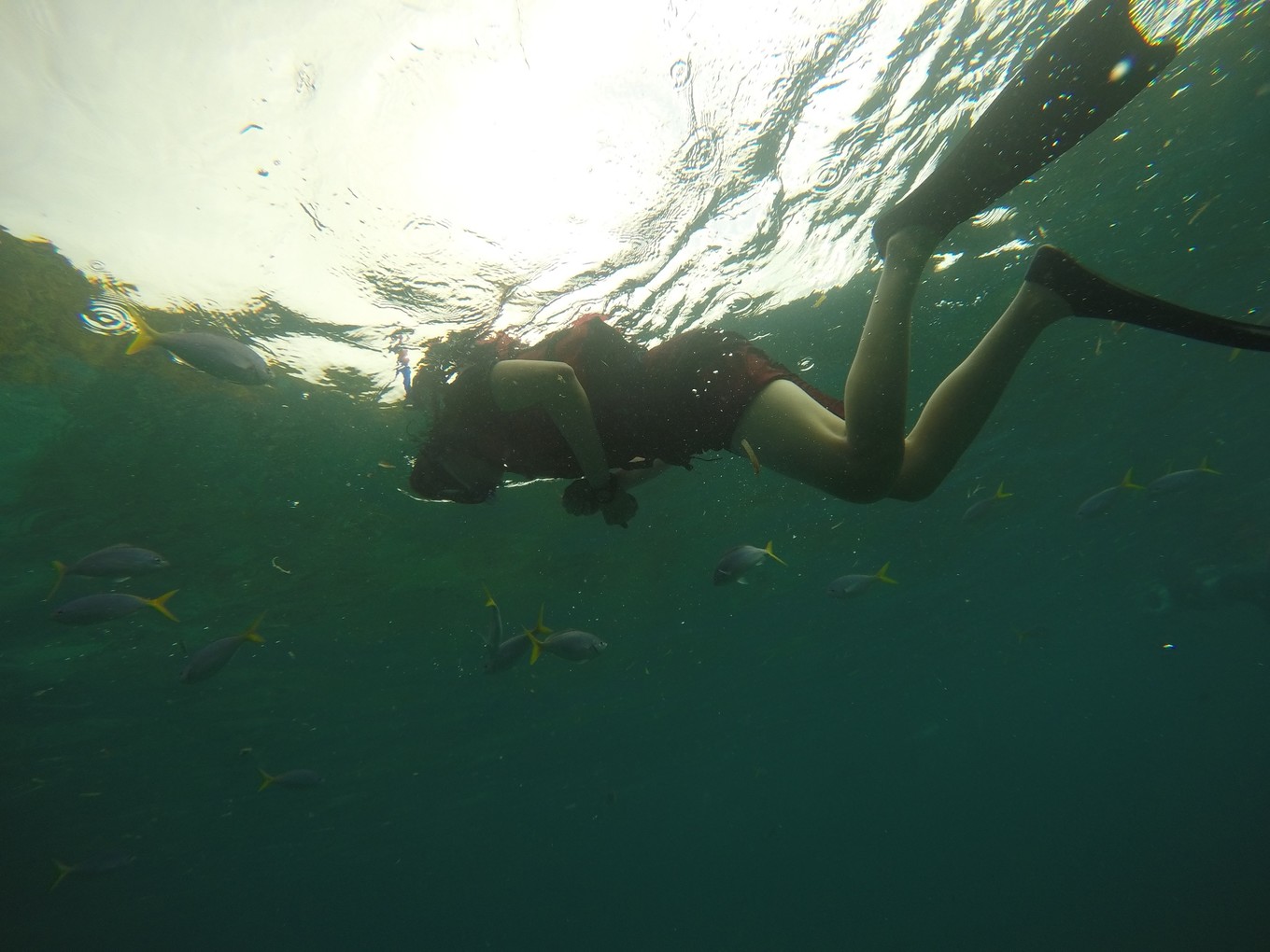 帕劳旅行攻略大全图文,帕劳旅行攻略图文大全