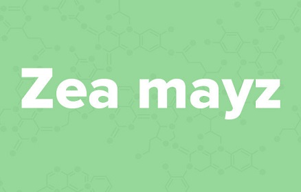 苹果的英文不是apple,苹果的英文发音是apple还是apple