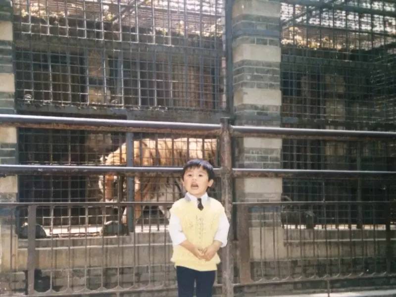 老门东最好吃的臭豆腐是哪家,老门东臭豆腐哪家最正宗