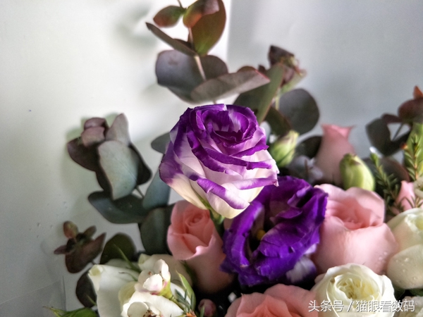 oppor9splus7.1,oppor9splus还值得买吗