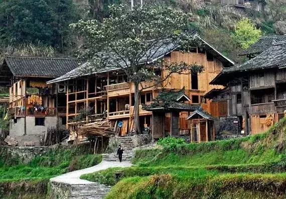 上海到南京高铁最新消息,上海到杭州高铁最新消息