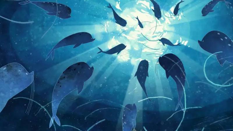 电影排行榜最新电影2016年,2016年好看电影推荐