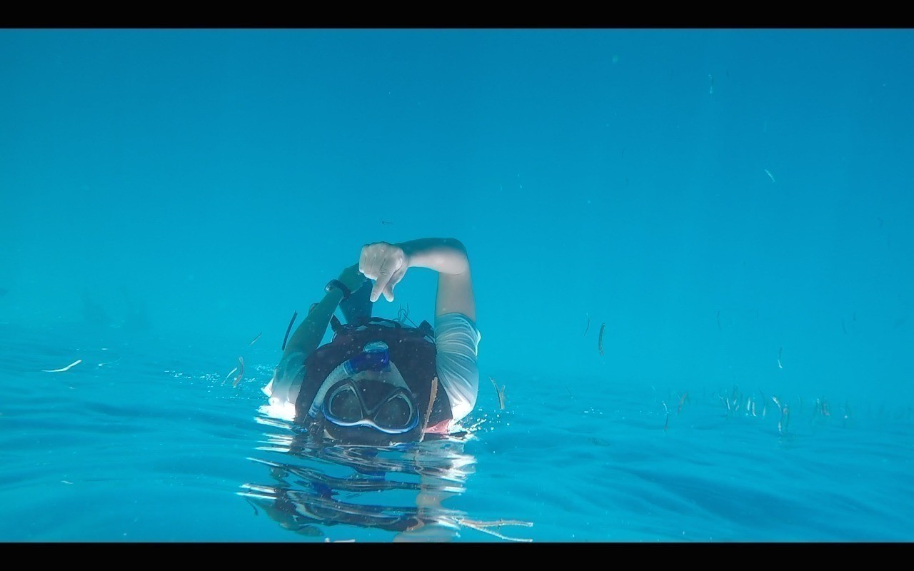 帕劳旅行攻略大全图文,帕劳旅行攻略图文大全