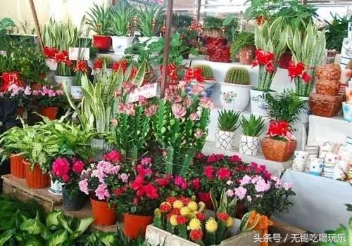 批发年货哪个网站批发划算,十大必备年货批发