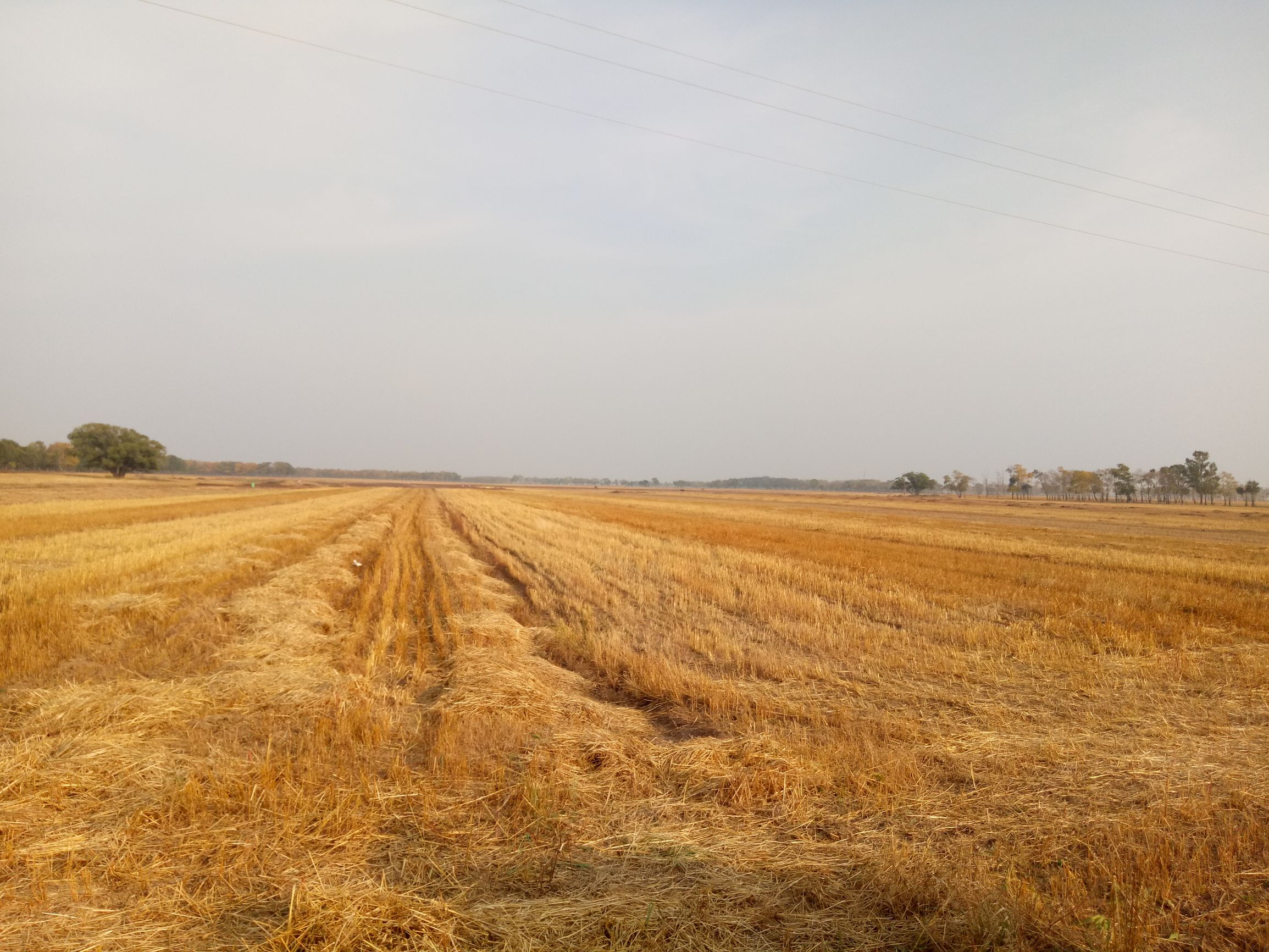 张北天路行,深度还原张北天路