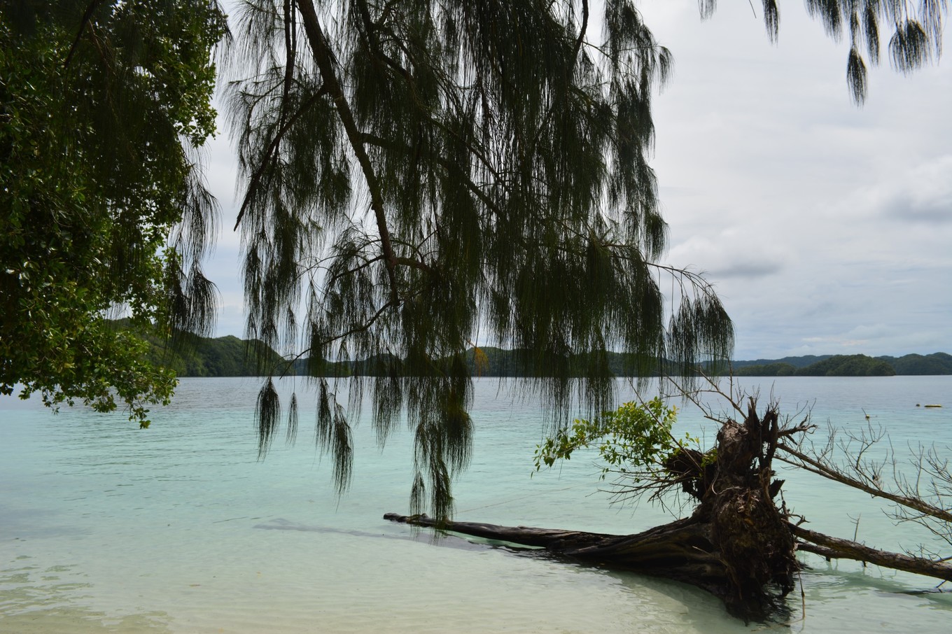 帕劳旅行攻略大全图文,帕劳旅行攻略图文大全