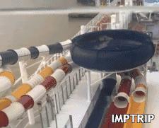 必须曝光！男女老少被这艘邮轮“骗”得不想回家！