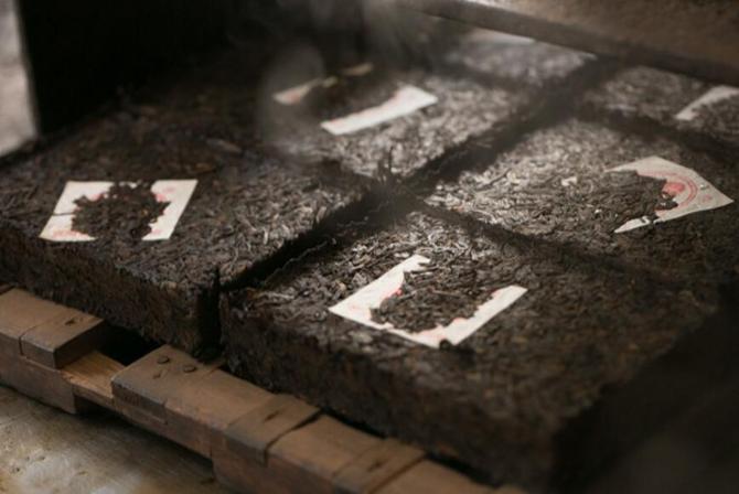 未来十年熟普将被改写？高等级毛茶制作的高端熟普会一统江湖？