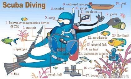 英语生活词汇图,36张图记住英语中所有生活用词