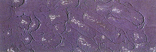 古典油画大师油画技法,很全的绘画教程