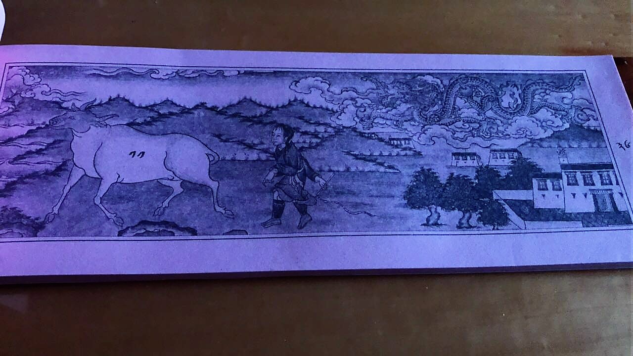 藏历春牛图解析,藏历鸡年分别是哪一年