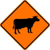 新西兰租车攻略,新西兰租车需要什么资料