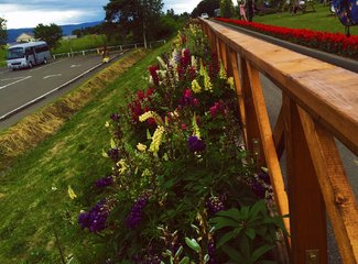 人在美途民族风旅拍,人在美途