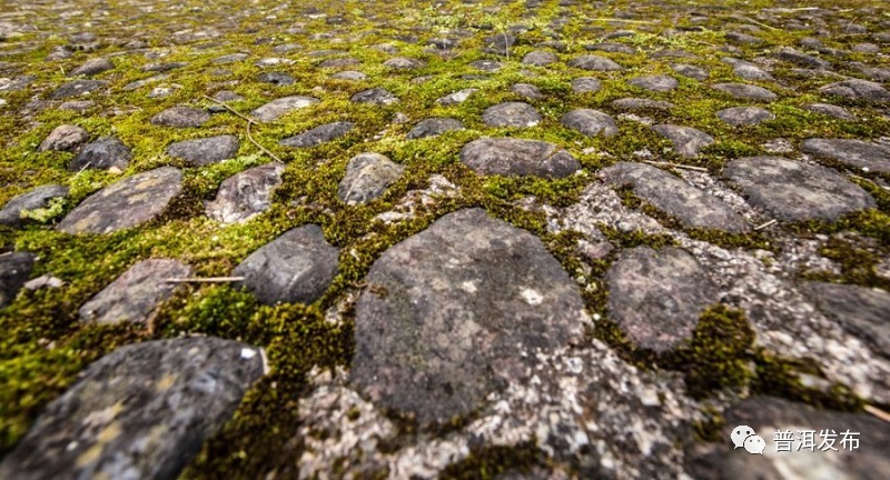 墨江文庙图片,墨江文庙碧溪传统民居建筑群
