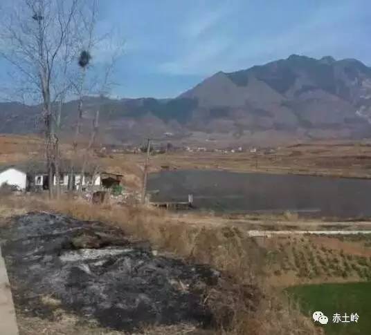 勉县沙建国,沙建国与老沙