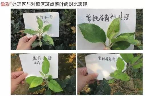 今日优品品牌零食,今日优品个体店