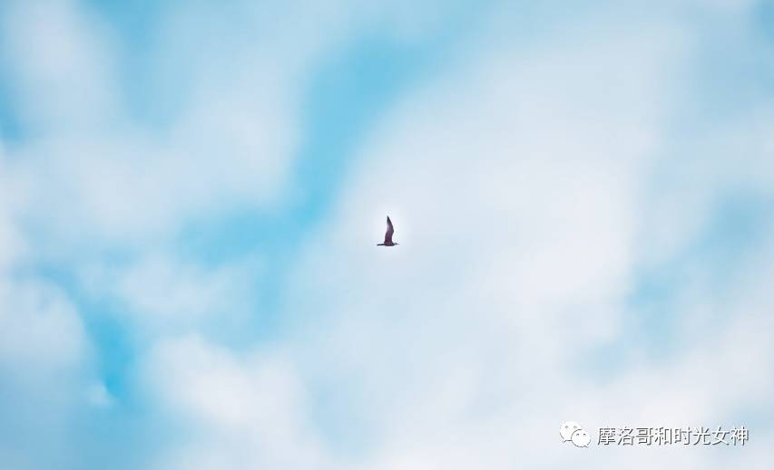 中国游客真的不爱逛博物馆吗？丨摩洛哥艺术时光漫步