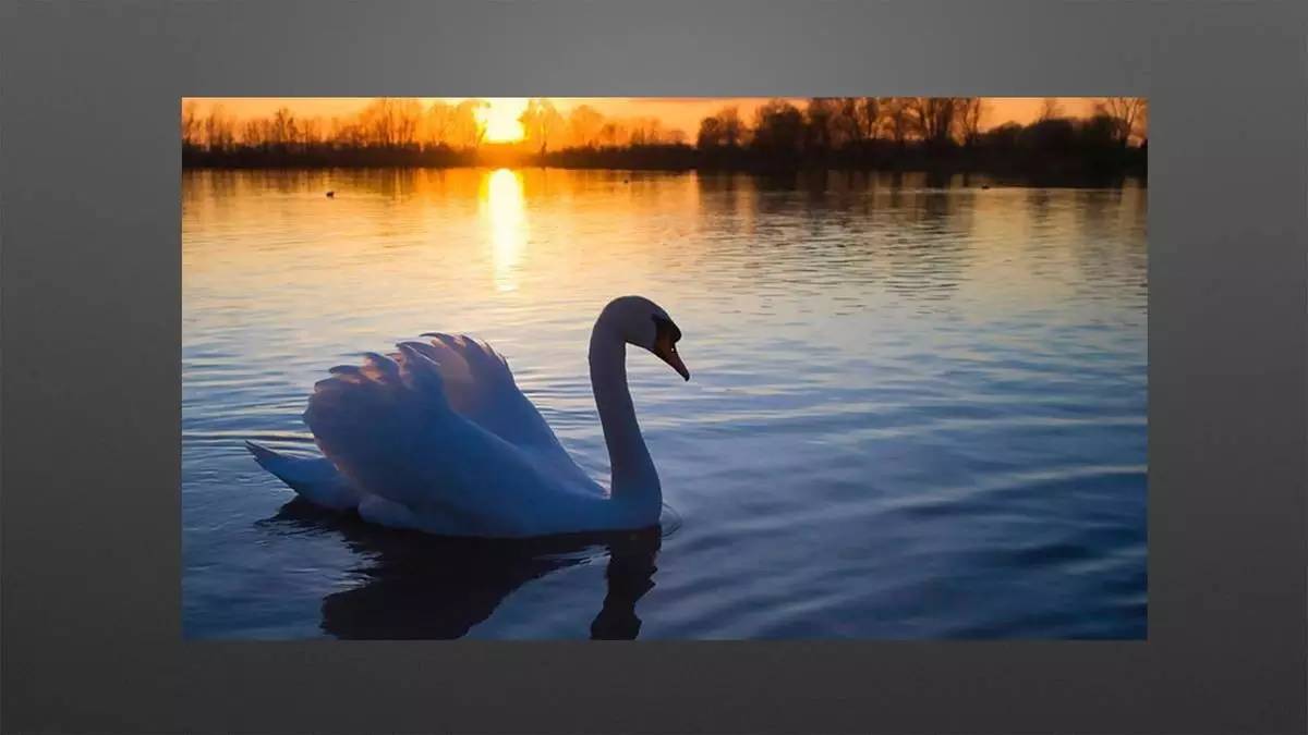 设计师必须改变思维方式,才能获得新的认知|来自一位室内设计行业连续创新者的分享「设易学院干货064期」