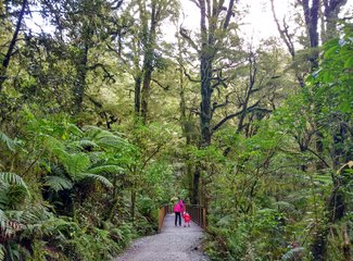 《小丫头的奇异之旅》第11章，第十天，周三