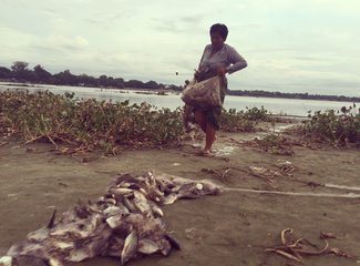 愿上苍保佑吃完饭的人民——缅甸8日传统玩法