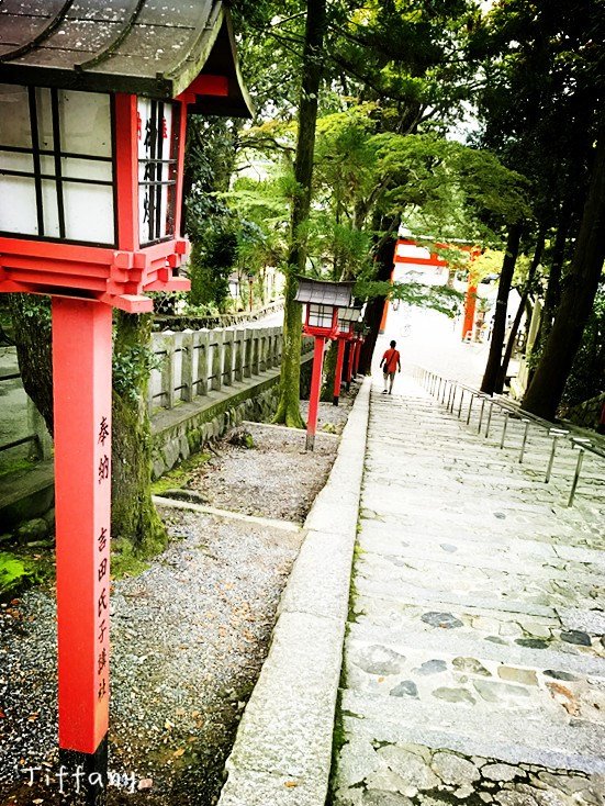 京都10月旅游攻略,京都枫叶季一日游