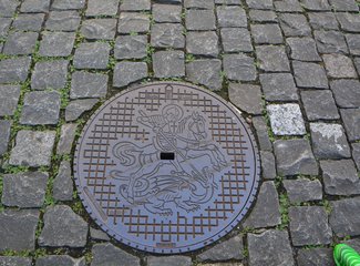 鲜花在脚下，雪山在前方——小淘淘2016年暑假瑞士徒步记