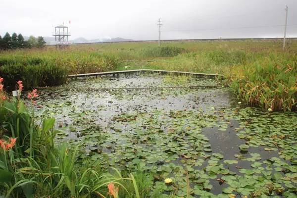 适合亲子游和农家乐的地方,收藏旅游景点