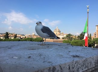 蓄谋已久的旅行开始了,意大利深度游详细攻略