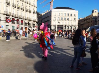 法兰西板鸭,板鸭西班牙语