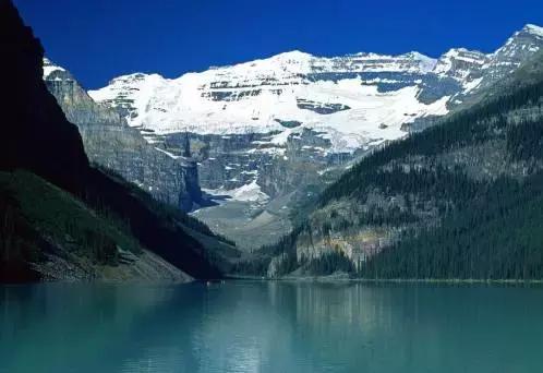 阿拉斯加刺参和加拿大刺参的区别,刺参哪个国家的最好