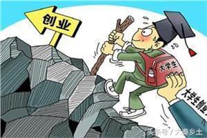 在农村种植什么最合适最挣钱,现在适合农村种植的什么最赚钱