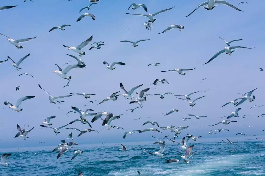 清新的蓝色有着大海的气息,如果蓝色