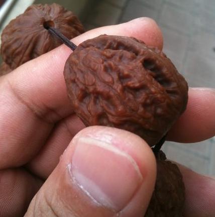 为什么核桃一点油都没有,刷核桃需要上油吗