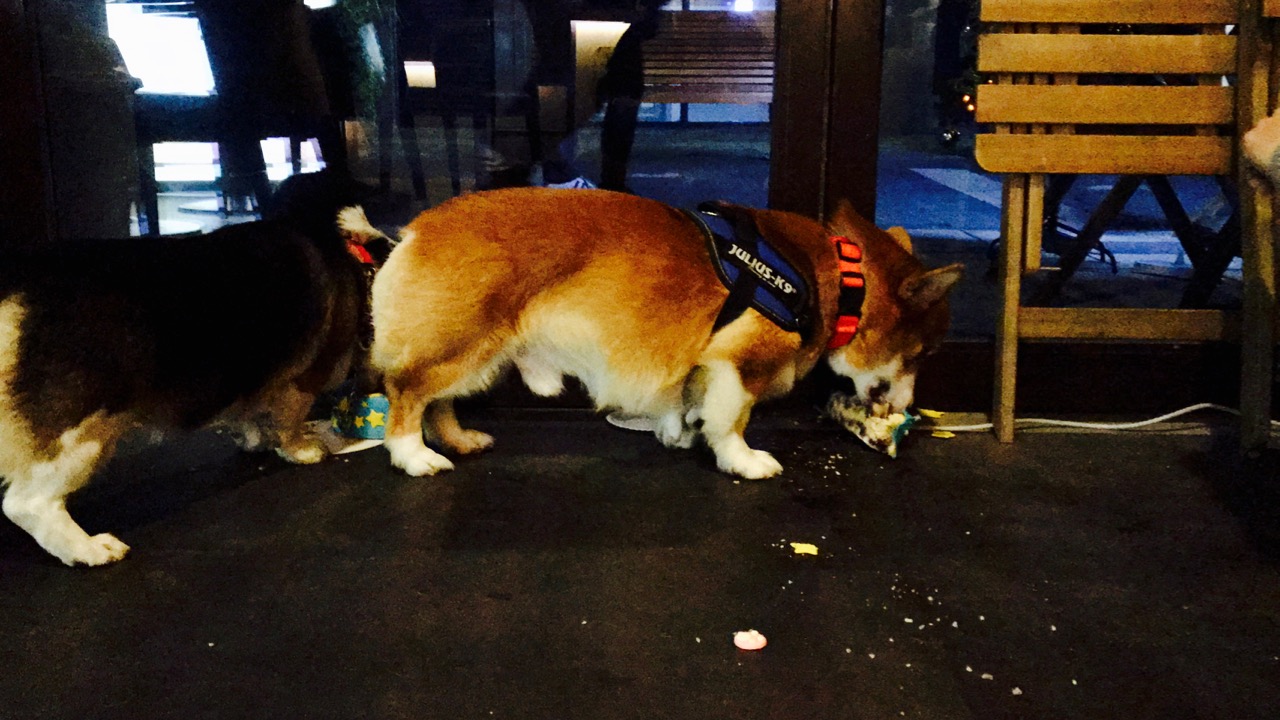 短腿男神蹭吃蹭喝欢乐多，“贱”装出席女票的生日派对