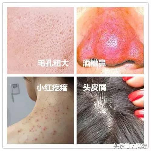 养宠物你要喂什么给它吃,当你的宠物吃下了你不知道的东西